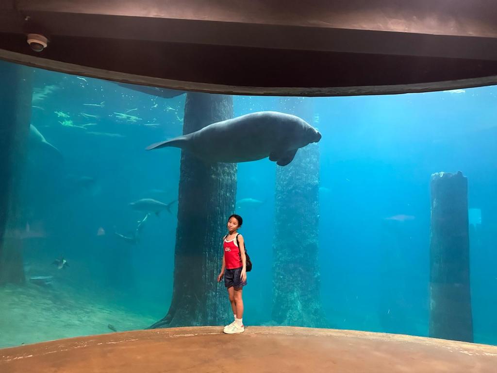 Champimom-帶孩子走進 新加坡 Mandai Wildlife Reserve-River Wonders