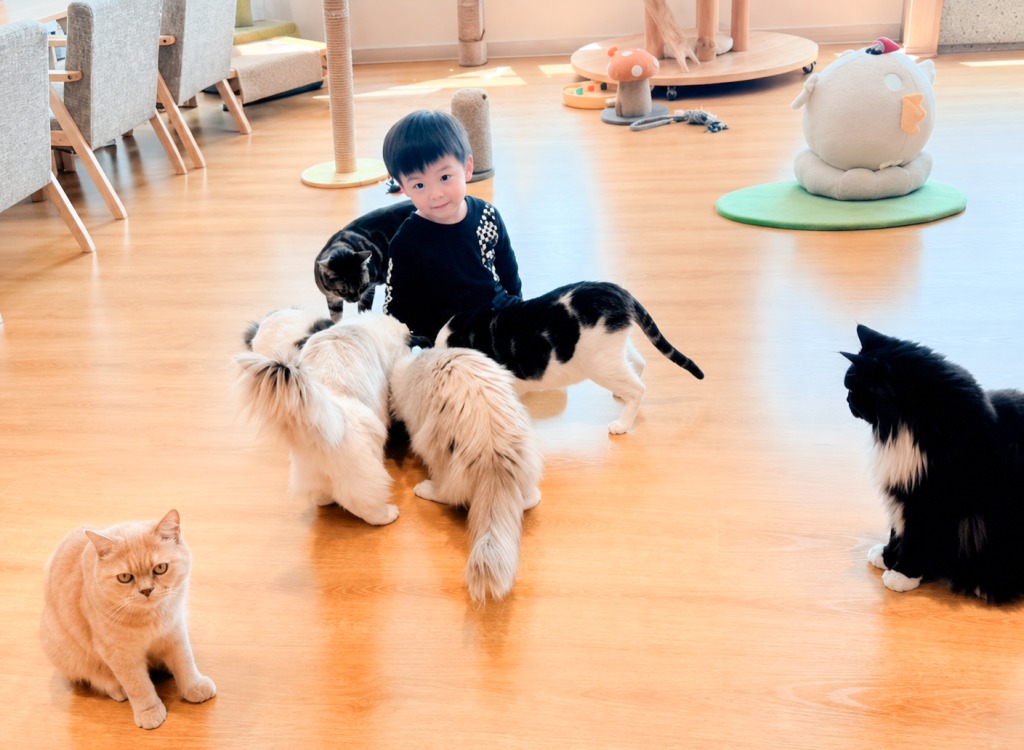香港親子動物好去處