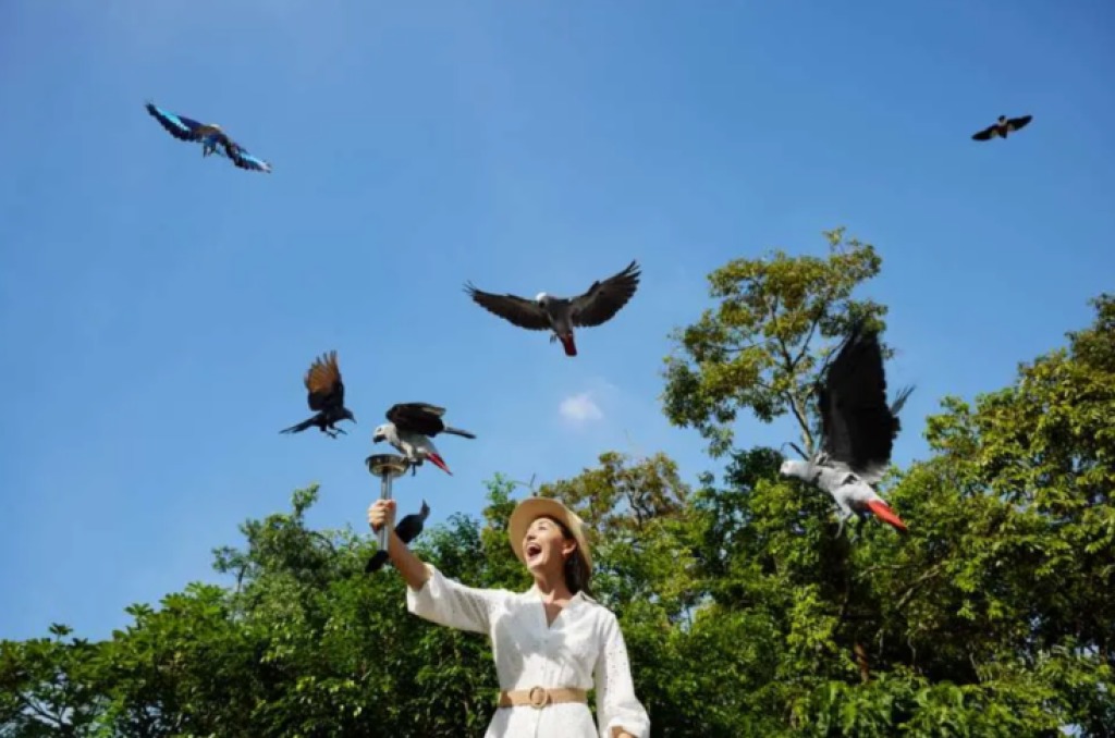 Champimom-帶孩子走進 新加坡 Mandai Wildlife Reserve-Bird Paradise