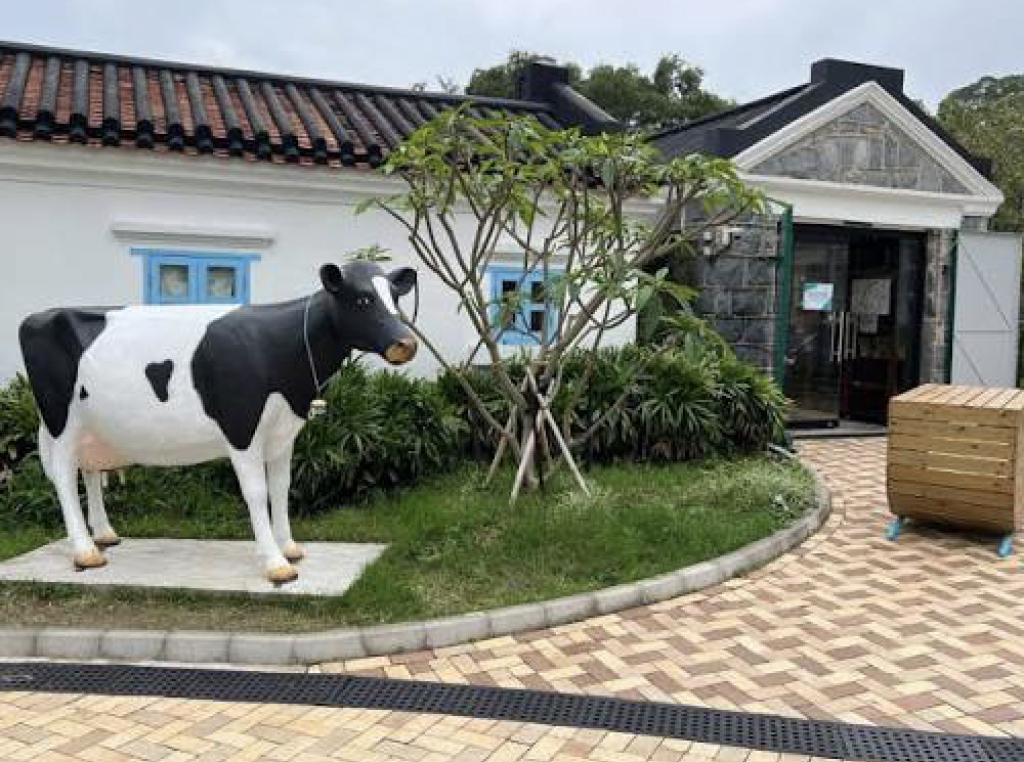 10月1日國慶活動- 親子好去處 11|薄鳧林牧場|免費導賞認識香港昔日乳業