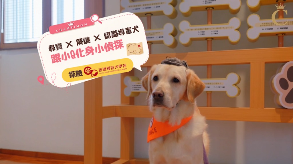 導盲犬學苑導師向小朋友介紹導盲犬的工作｜以及日常遇到正在執勤的導盲犬時應注意的事項