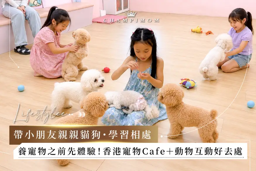 香港動物Cafe, 香港貓Cafe, 香港狗Cafe, 親子好去處2026, 香港親子好去處, 親子動物Cafe, 香港動物互動好去處, 小朋友動物Cafe, 香港室內親子好去處, 親子動物好去處2026