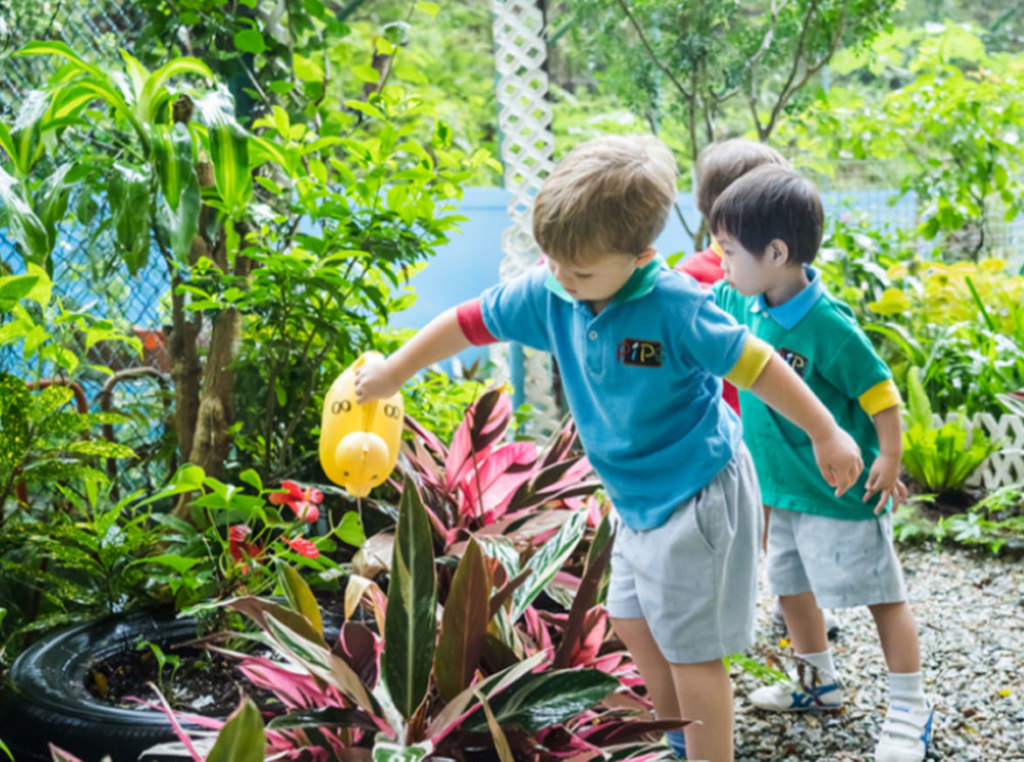 香港IB幼稚園學費|栢基國際幼稚園(PIPS)