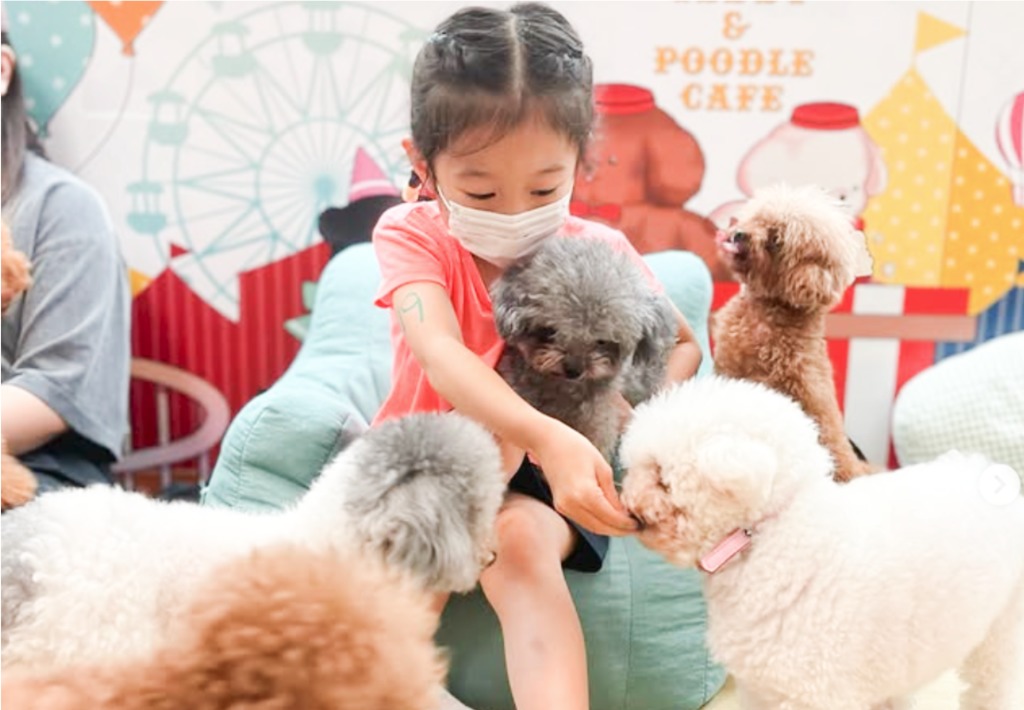 香港親子動物好去處