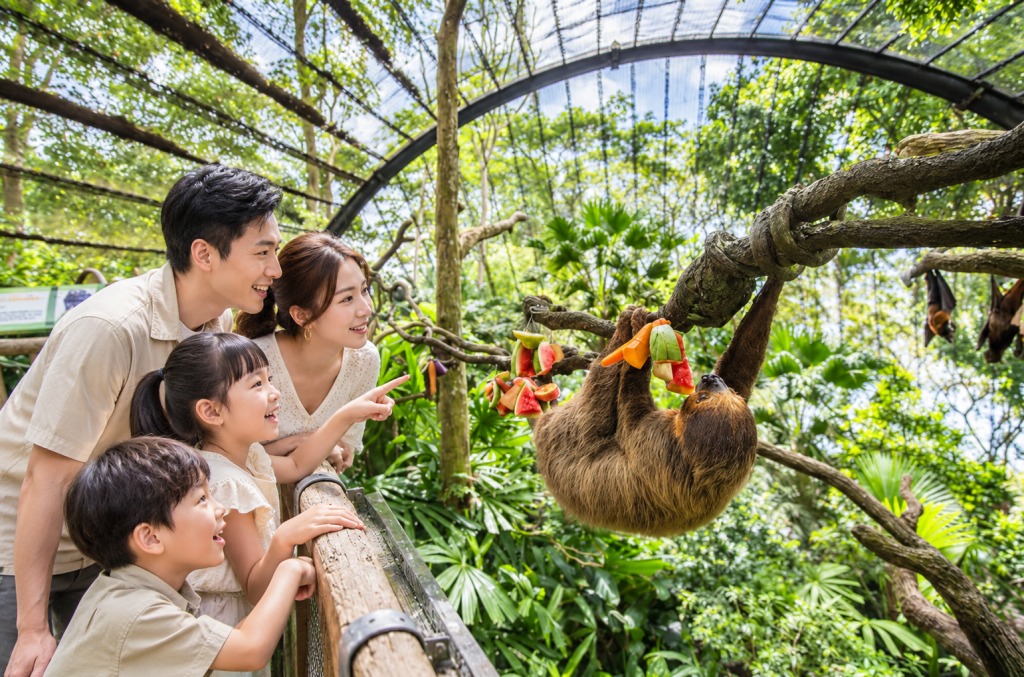新加坡聖誕親子遊2026｜帶小朋友走進 Mandai Wildlife Reserve-Singapore Zoo｜走進自然棲息地，近距離觀察野生動物