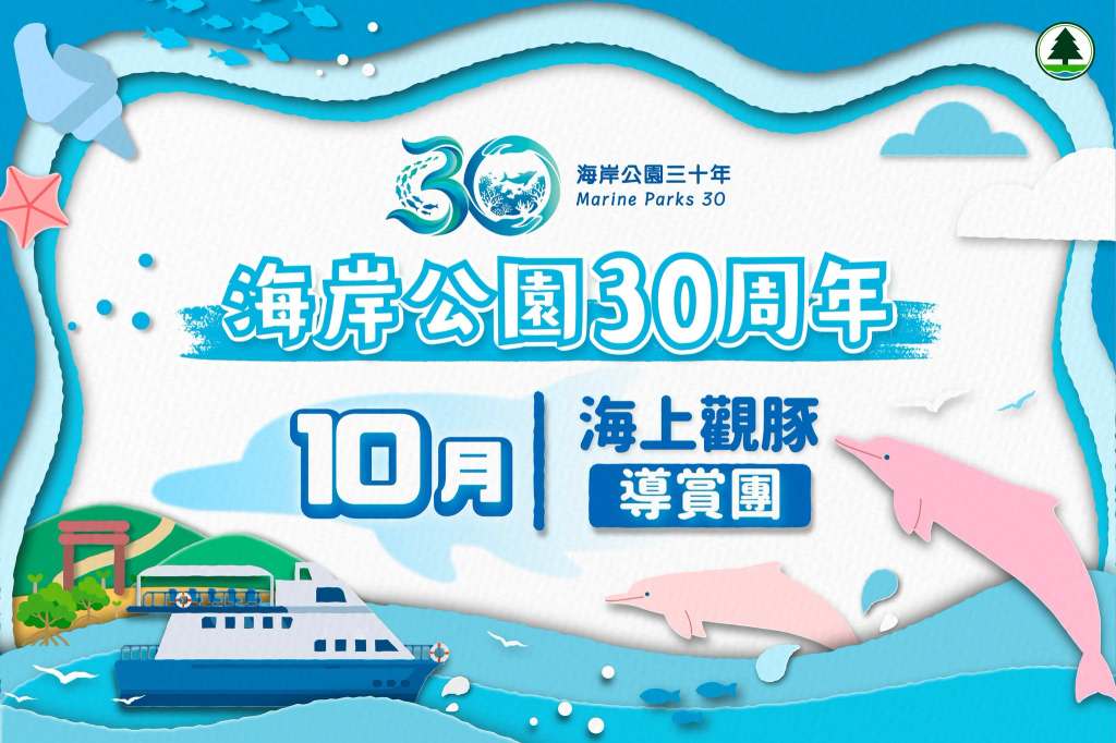 免費海上觀豚導賞團