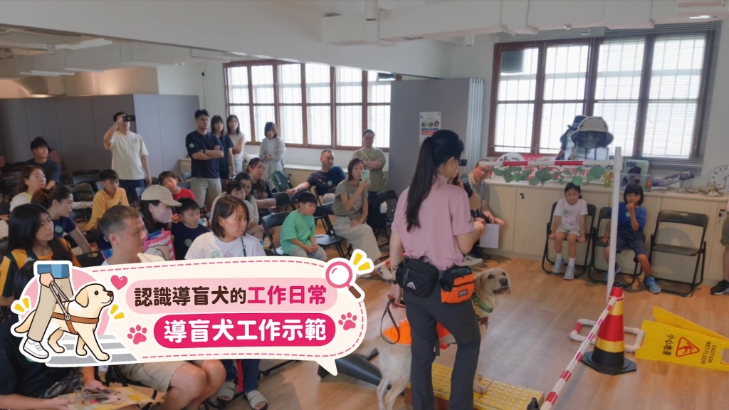 導盲犬學苑導師向小朋友介紹導盲犬的工作｜以及日常遇到導盲犬時應注意的事項